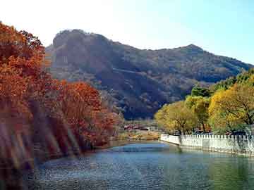 澳门二四六天天彩图库，龙隐都市